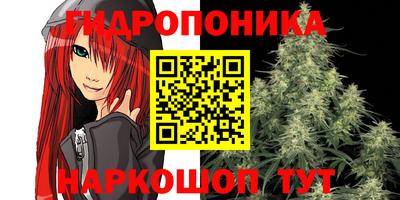 кокс Рязань