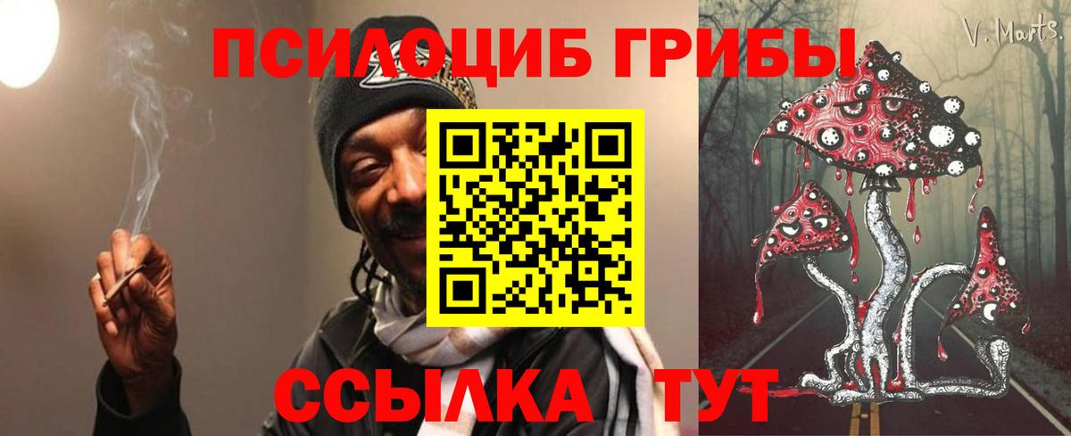 Галлюциногенные грибы GOLDEN TEACHER Ревда
