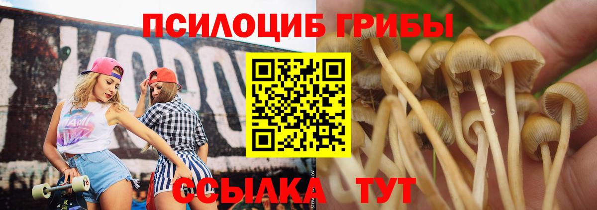 Ревда  Псилоцибиновые грибы Magic Shrooms  наркота  Вход с VPN 